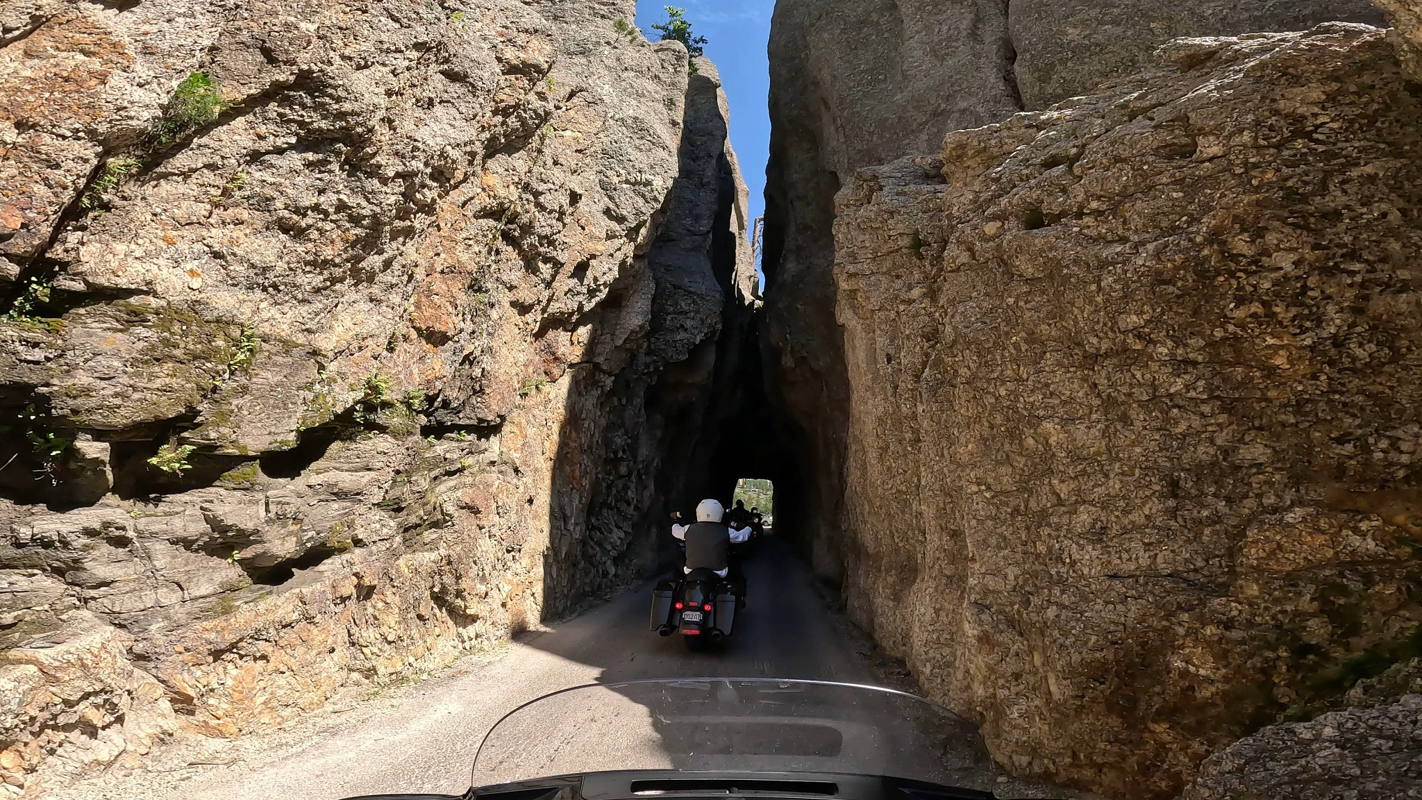 Michael Crow and some friends on the open road