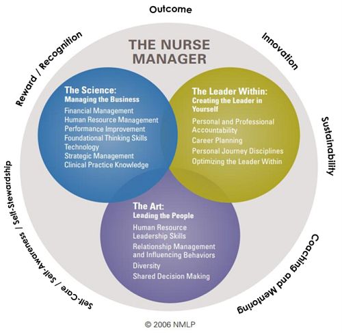Nursing Leadership Conceptual Framework.jpeg