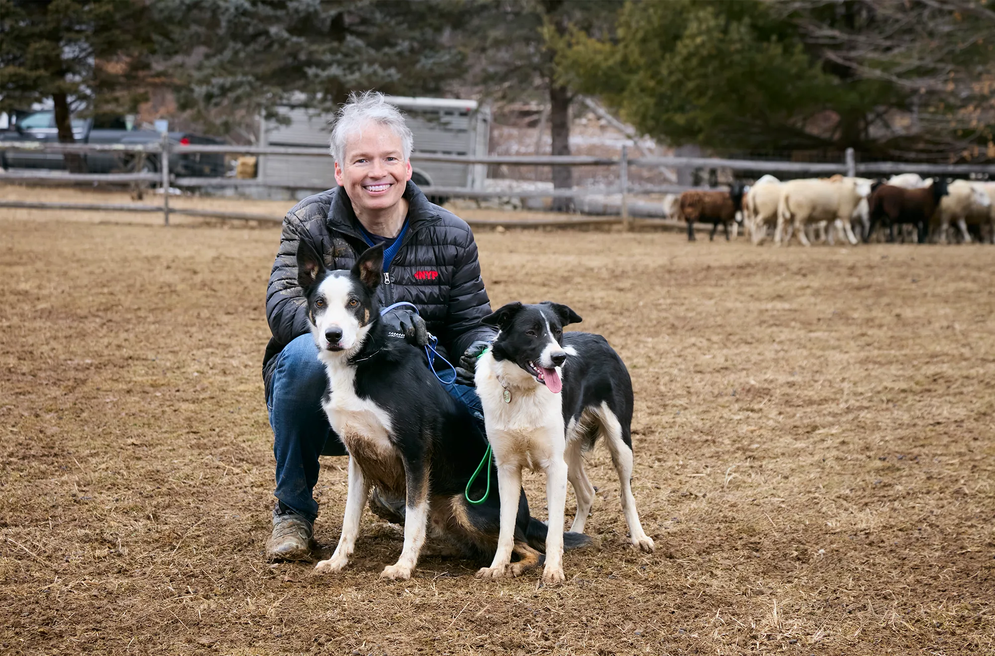 Dr. David Slotwiner kneeling on pasture with two border collies