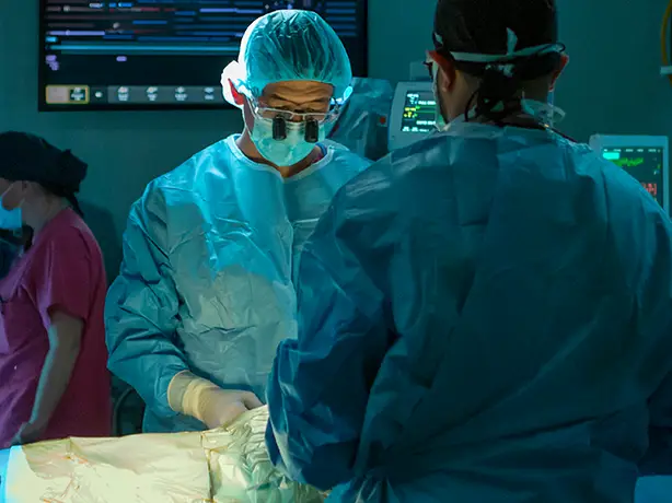 Innovations in Review: Transplant